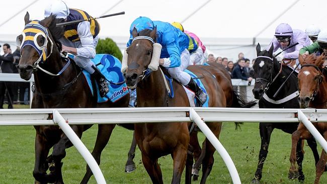 Ibicenco beats Verdant in the Geelong Cup, but punters aren't buying into the form. Picture: Jay Town