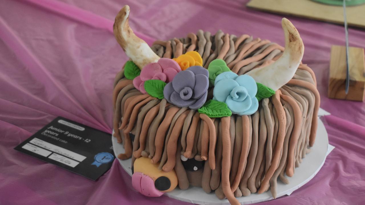 There were many things on display at the Rockhampton Agricultural Show from cakes to scarecrows.
