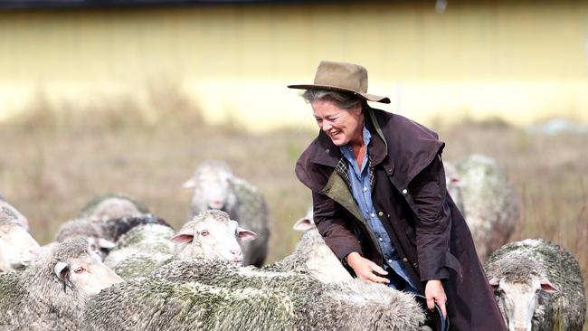 Sheep farmer Julie Steepe on her property ‘Lucy Land’ near Bulahdelah. Picture: Peter Lorimer