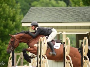 Kate Crauford has since moved to America where she works as a riding trainer. Picture: supplied