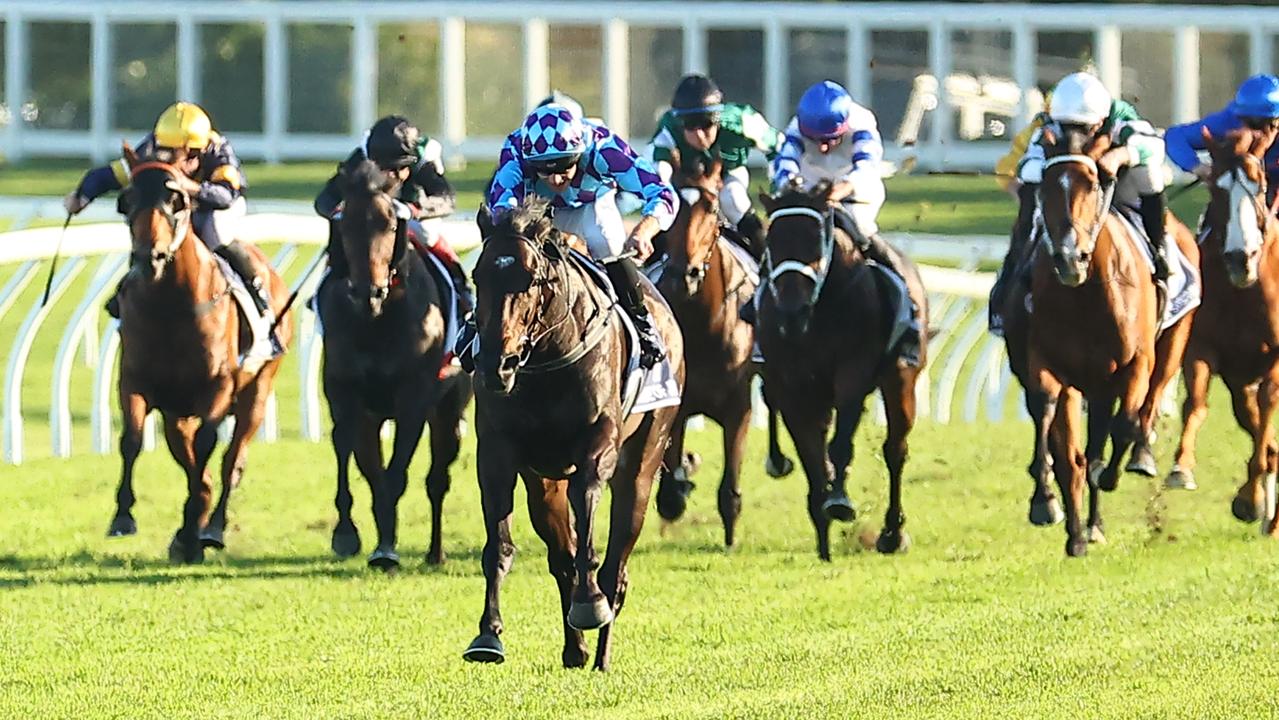 Pride Of Jenni leaves her rivals in her wake in a remarkable triumph in the Queen Elizabeth at Randwick in the autumn