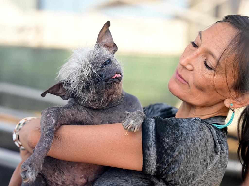 World's Ugliest Dog champion Mr Happy Face was adopted as a rescue last year by Jeneda Benally. Picture: Josh Edelson/AFP