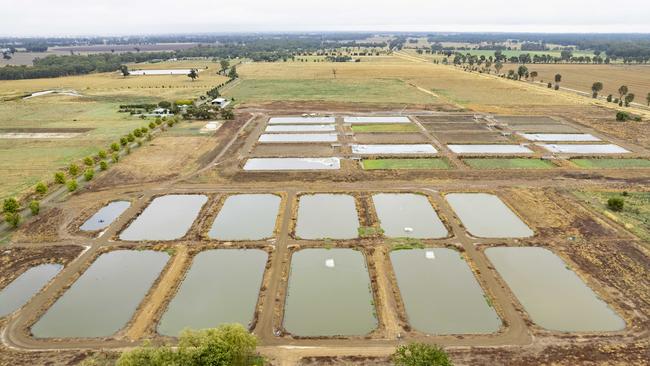 Fish nursery: The newly opened Arcadia fish hatchery consists of 12 brood and 20 plankton ponds. Picture: Zoe Phillips