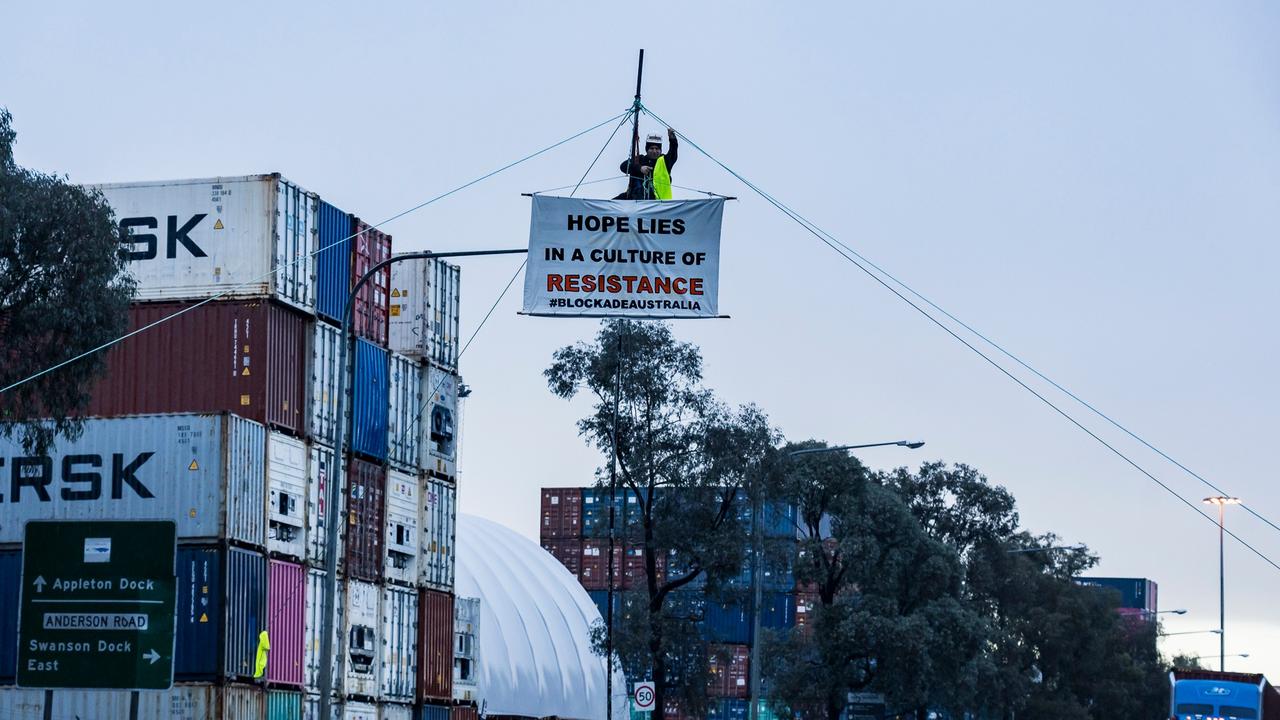 Mr Homewood atop his protest pole. Picture: Twitter