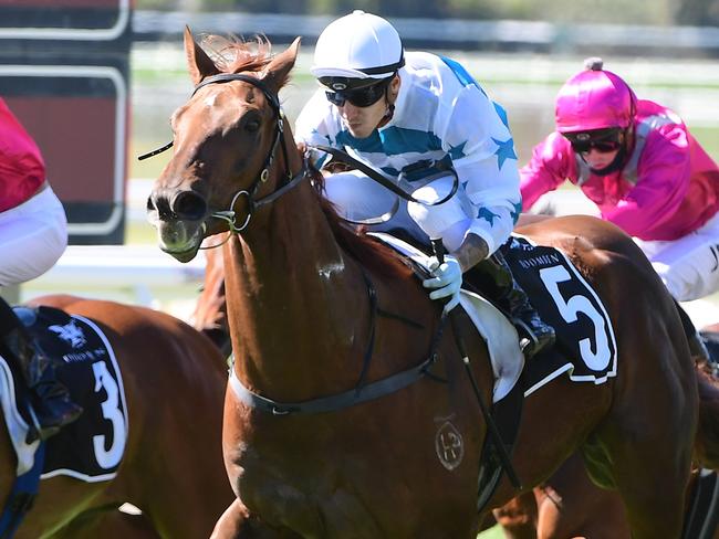 Tramonto dashes clear to win at Doomben for trainer Johnny Field -  Picture: Grant Peters Trackside Photography