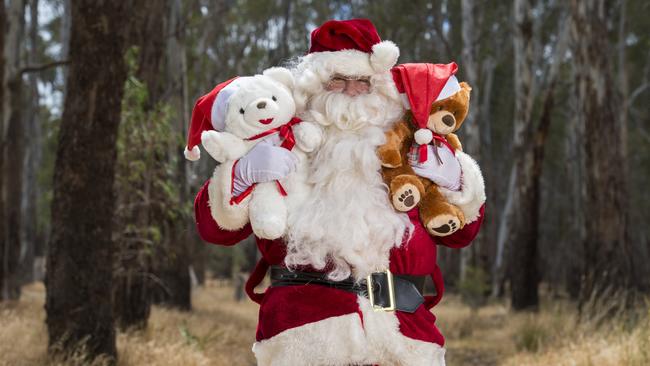 Saint Nick: Shepparton's Steve Neff dresses up as Santa Claus each year and volunteers his time. Pictures: Zoe Phillips