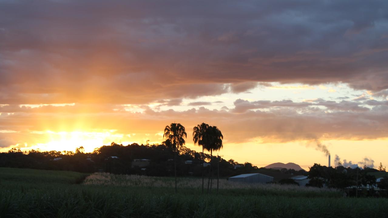 Cane fields near Farleigh Mill, north of Mackay. Picture: Kirili Lamb