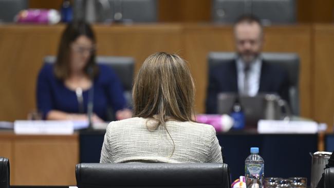 Kelly Bayer Rosmarin at the Senate inquiry. Picture: NCA NewsWire / Martin Ollman