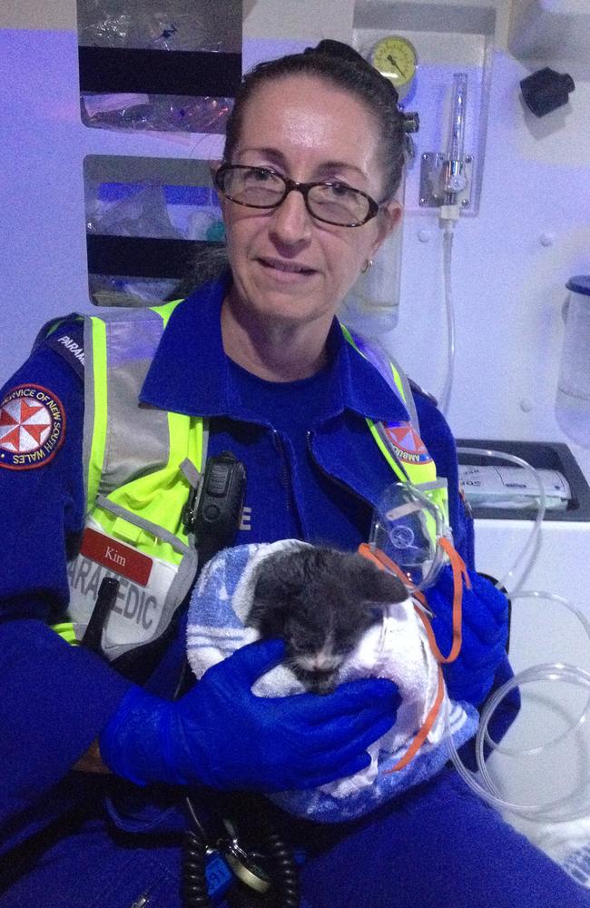 Lucky Escape For Six Week Old Kitten Rescued From A Burning House And 
