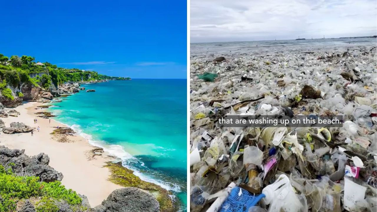 Viral video exposes sad Bali beach reality