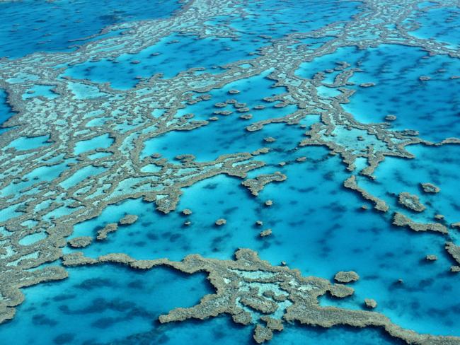 The beauty of the reef from the air.