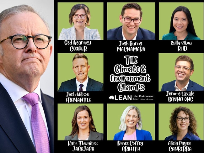 Albo and Greens MP push