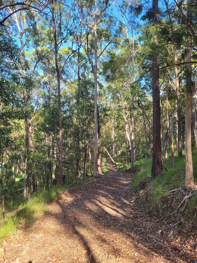 Owners say trees, nature and the sounds of birds abound.