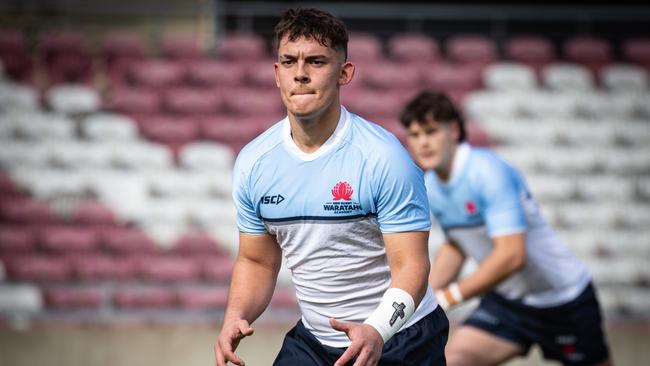 NSW Waratahs White v Queensland Reds Grey. Picture Tom Primmer/QRU.