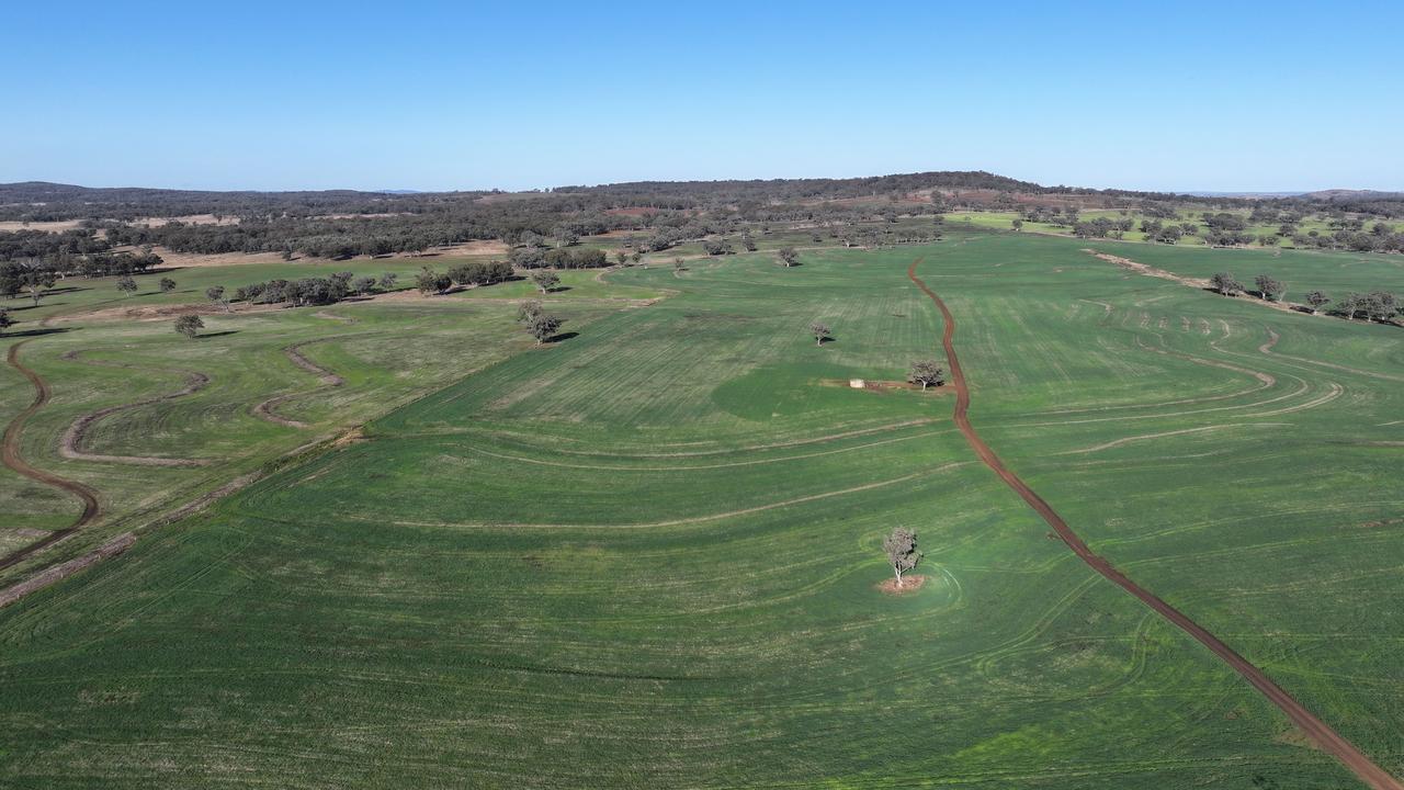 Wirribilla, Funny Hill, Rosehill Aggregation: Five NSW farms on the ...