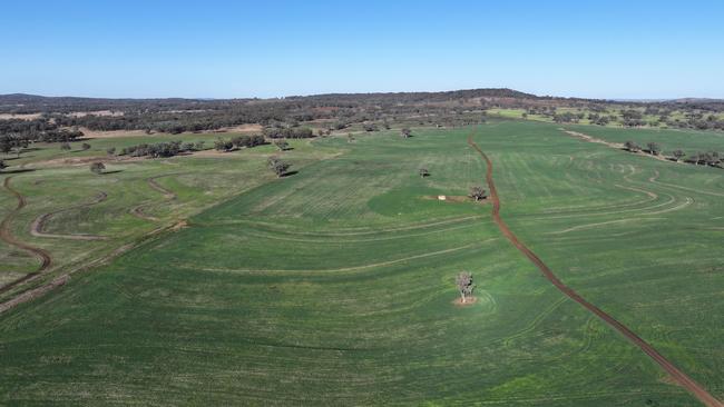 GunnAgri Partners are selling their diverse Rosehill Aggregation near Inverell NSW.