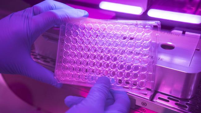 The bioprinter allows researchers to analyse the effectiveness of cancer drugs being used on tumours. Picture: Matthew Vasilescu