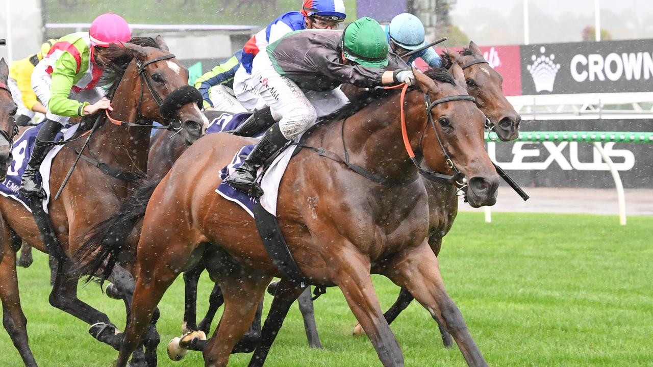 Prebble delivers Straight Six blow for punters with $71 outsider