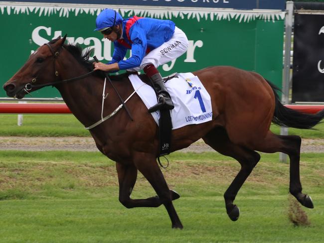 Lost And Running is the one to beat in the Premiere Stakes. Picture: Grant Guy