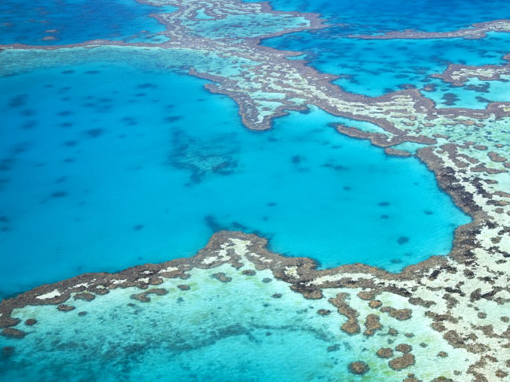 <span>3/50</span><h2>Great Barrier Reef, QLD</h2><p>The 25 million-year-old, World Heritage-listed <a href="http://www.greatbarrierreef.org/" target="_blank">Great Barrier Reef</a> is the only living thing visible on Earth from space. But you don’t have to travel that far to see it. Located just off the coast of Tropical North Queensland, this large reef system stretches for 3,000km and is home to 1,500 species of tropical fish and over 400 different types of coral. Check out <a href="https://www.escape.com.au/destinations/australia/queensland/best-great-barrier-reef-diving-tours/image-gallery/bdb6cf6c7300aa1aa035e7bcf96a13df" target="_blank" rel="noopener">our favourite Great Barrier Reef tours here</a>.</p>