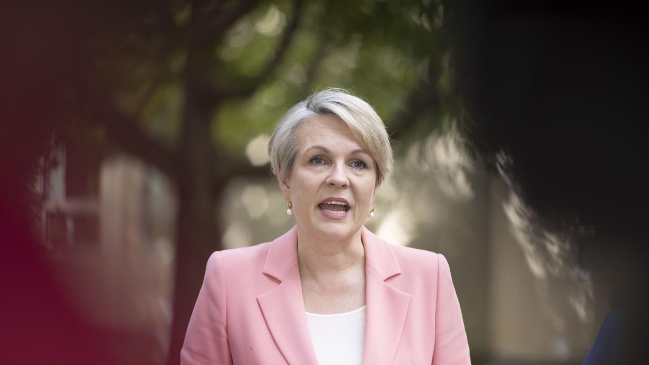 Why Tanya Plibersek Never Challenged Anthony Albanese Labor Leadership