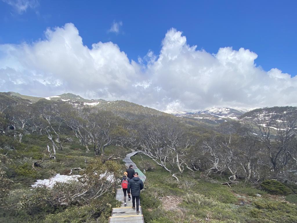 The Snowy Mountains beautiful in summer and winter. Picture: news.com.au