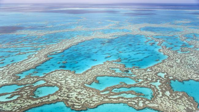 Australia has expressed its ‘grave concerns’ at the proposed ‘in danger’ listing for the Great Barrier Reef.