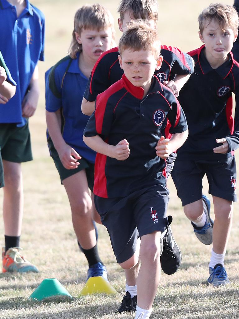 PHOTOS: Catholic primary students in cross country action | The Mercury