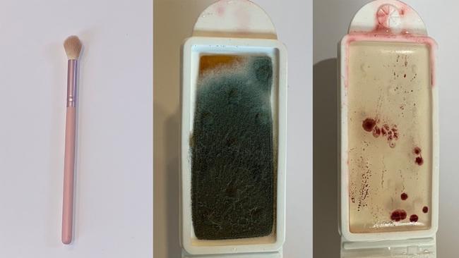 The test results for an eyeshadow brush, showing mould and yeast on the left and bacteria on the right. Picture: Jam Press