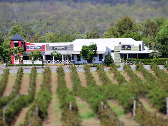 Dusty Hill VineyardMoffatdale, QueenslandSupplied pics