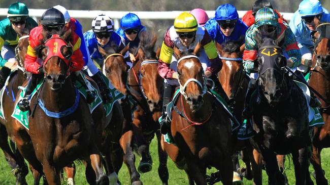 Racing in New South Wales on Wednesday is at Randwick on the Kensington track.