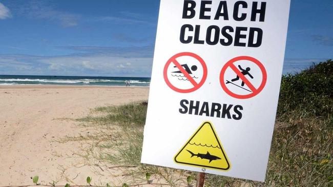 Shark attacks are every surfer's secret fear. Picture: Cathy Adams