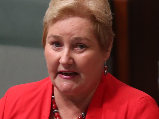 Ann Sudmalis made her statement in the House of Representatives chamber. Picture: Kym Smith