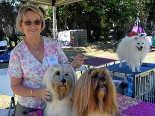 Jan Stringer with Bentley and Eden. Picture: Madeline Grace