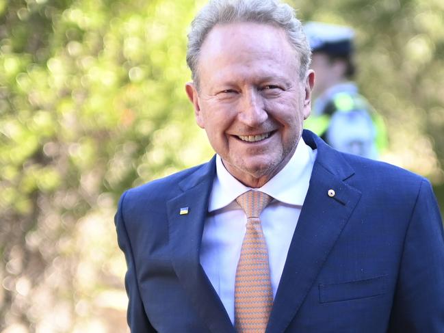 CANBERRA, Australia - NewsWire Photos - October 21, 2024: Andrew Forrest at the Australian National Botanic Gardens in Canberra. Picture: NewsWire / Martin Ollman