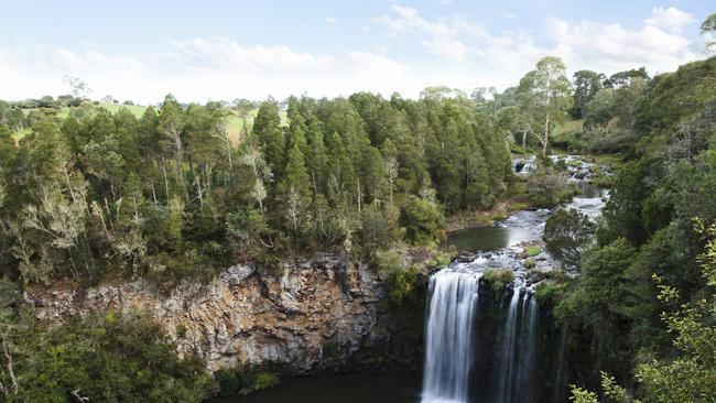 Dangar Falls is about 35 kilometres west of Coffs Harbour on the Dorrigo plateau.