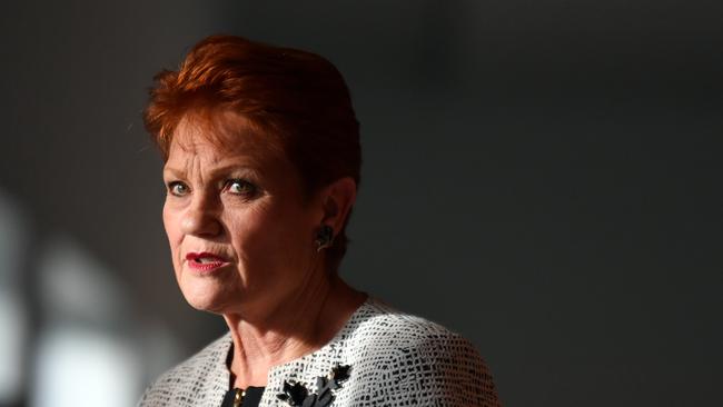 If Pauline Hanson truly cared, she would do more to help stop male suicide. Picture: AAP Image/Mick Tsika