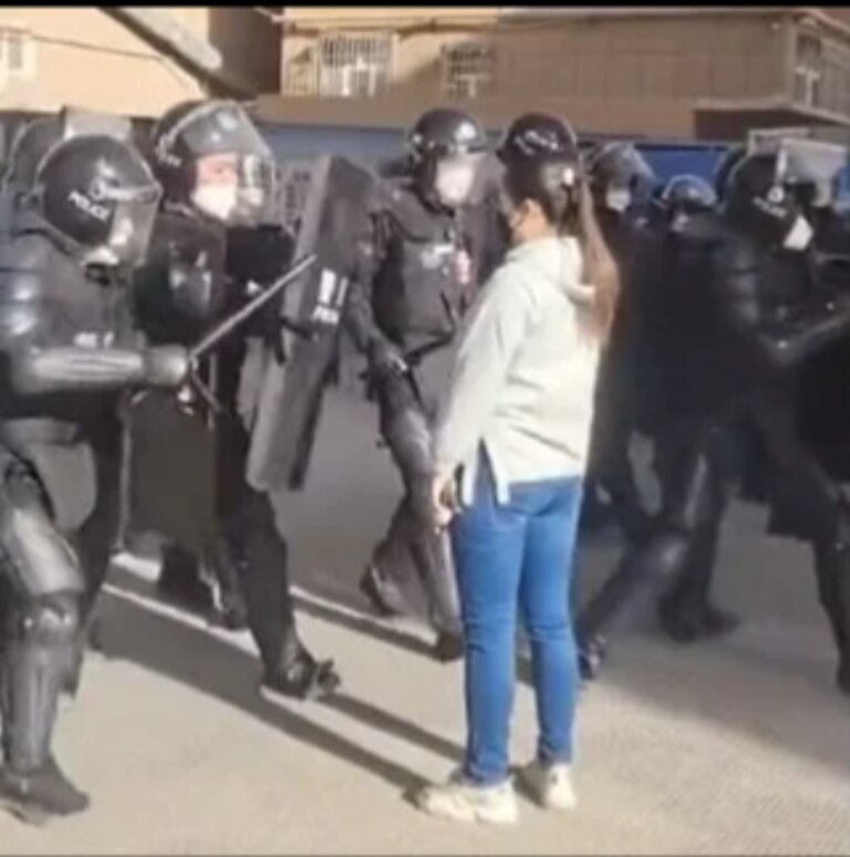 The woman facing riot police. Picture: Twitter.