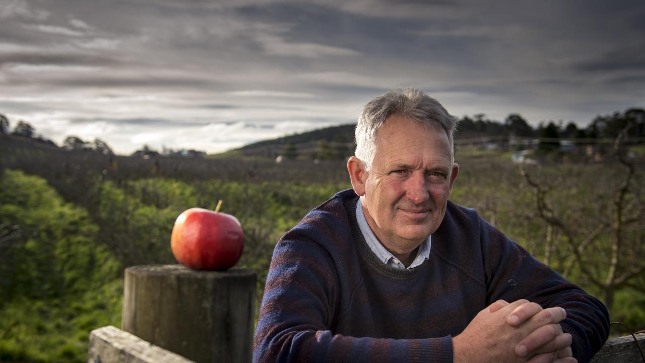 <p>Sixth generation apple grower Andrew Scott at his property in Huon Valley in the south of Tasmania in August, 2019. Mathew Farrell/The Australian</p>