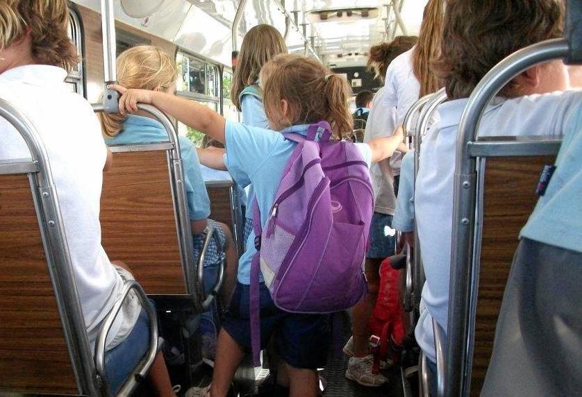 Mp Says More Action Needed To Stop Bus Bullies Daily Telegraph 