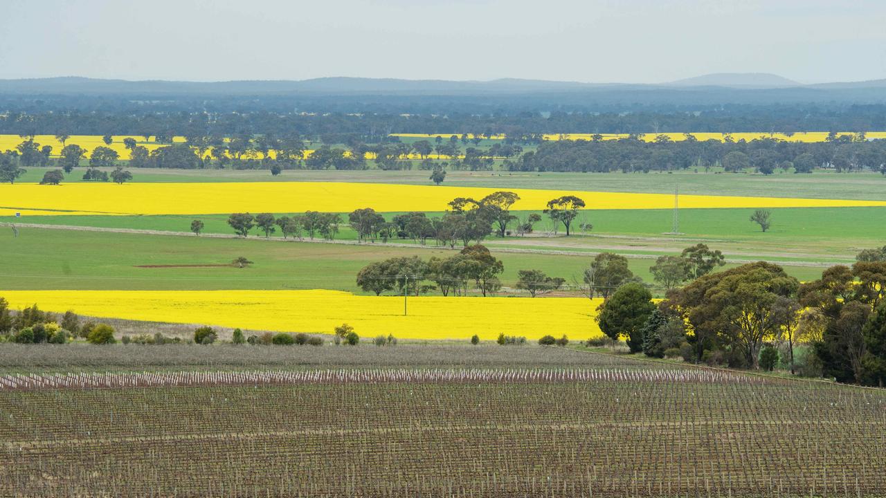 Huge Victorian solar farm and big battery get fast-tracked approval