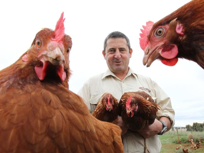 SA Farmers' Federation poultry committee chairman farmer John Rohde, of Rohde's Free Range Eggs has 40,000 birds at 1500 per hectare on his farming property at Tarlee.