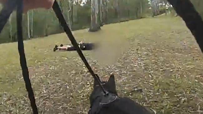 Police dogs were used in a Logan property crime blitz that uncovered young alleged offenders. Picture: Queensland Police