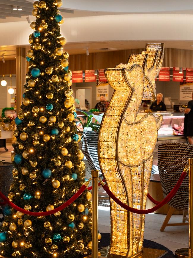 The reindeer pictured at Runaway Bay shopping Centre on December 6. Picture: Supplied.