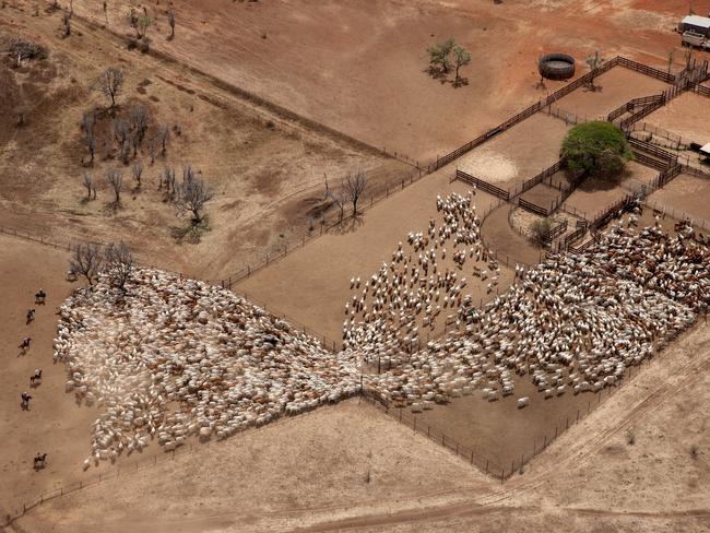 Newry Station in Victoria River, owned by Clean Agriculture and International Tourism (Vietnam). Picture: Supplied