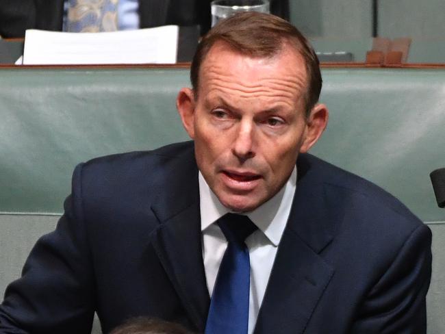 Former prime minister Tony Abbott during Question Time in House of Representatives at Parliament House in Canberra, Thursday, June 1, 2017. (AAP Image/Mick Tsikas) NO ARCHIVING