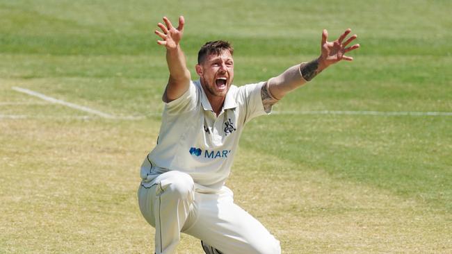 James Pattinson will replace injured paceman Josh Hazlewod on Boxing Day. Picture: (AAP Image/Michael Dodge