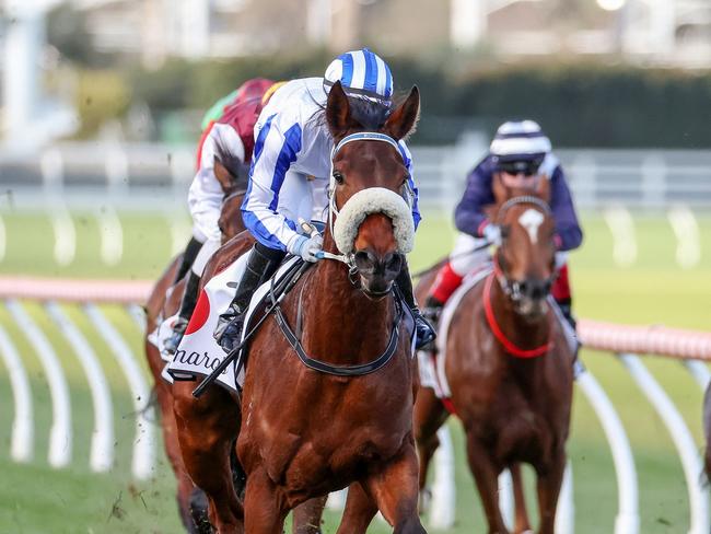 Mollynickers ridden by Carleen Hefel wins the Lamaro's Hotel VOBIS Gold Ingot  at Caulfield Racecourse on July 22, 2023 in Caulfield, Australia. (Photo by George Sal/Racing Photos via Getty Images)