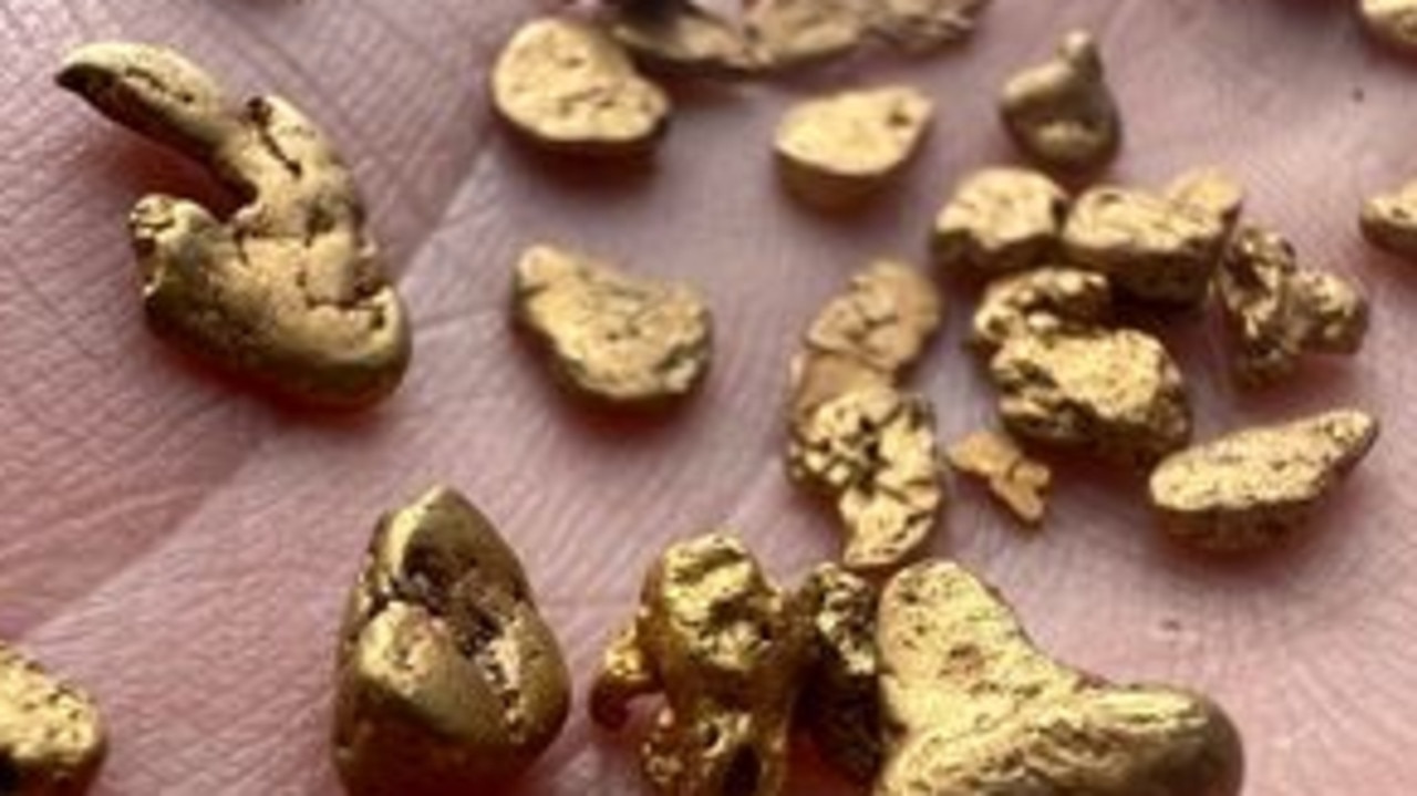 Gold rush in NSW north coast | KidsNews