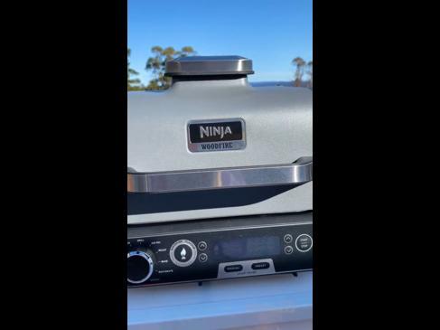 We test the Ninja Woodfire BBQ Grill and Smoker